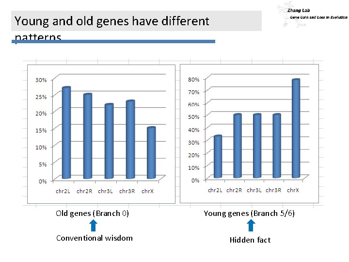 Young and old genes have different patterns Old genes (Branch 0) Young genes (Branch