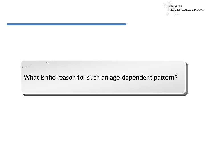 What is the reason for such an age-dependent pattern? 