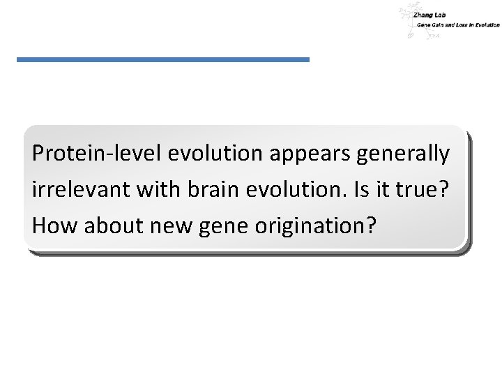 Protein-level evolution appears generally irrelevant with brain evolution. Is it true? How about new