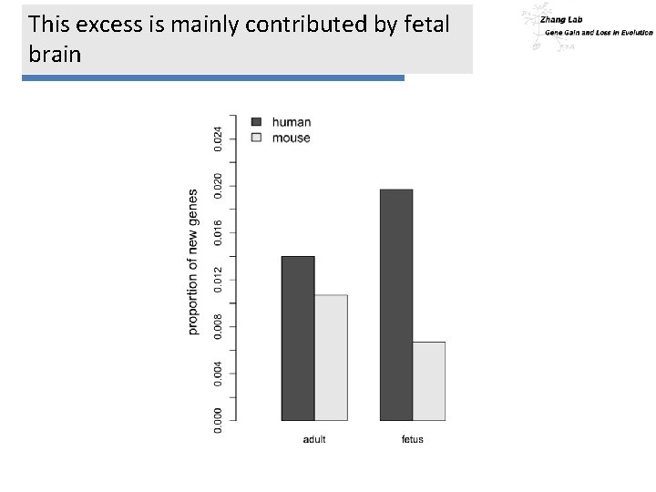 This excess is mainly contributed by fetal brain 