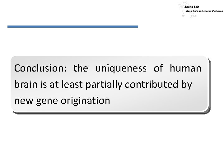 Conclusion: the uniqueness of human brain is at least partially contributed by new gene