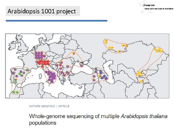 Arabidopsis 1001 project 