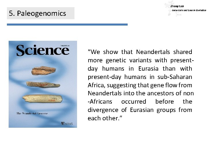 5. Paleogenomics “We show that Neandertals shared more genetic variants with presentday humans in