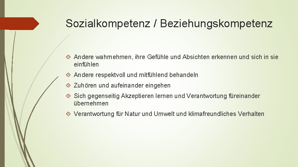 Sozialkompetenz / Beziehungskompetenz Andere wahrnehmen, ihre Gefühle und Absichten erkennen und sich in sie