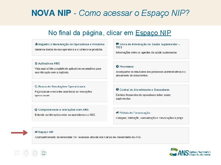 NOVA NIP - Como acessar o Espaço NIP? No final da página, clicar em