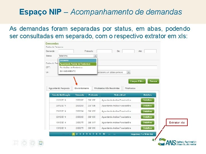Espaço NIP – Acompanhamento de demandas As demandas foram separadas por status, em abas,