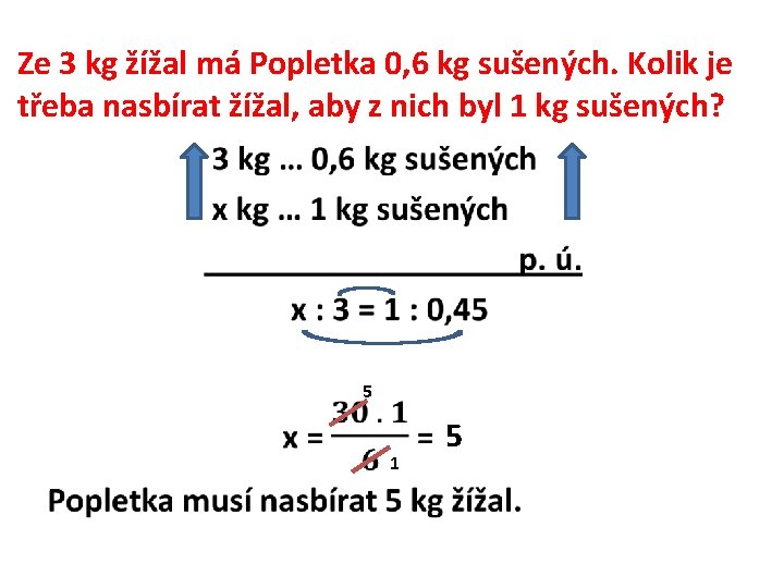 Ze 3 kg žížal má Popletka 0, 6 kg sušených. Kolik je třeba nasbírat