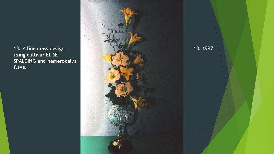 13. A line mass design using cultivar ELISE SPALDING and hemerocallis flava. 13. 1997