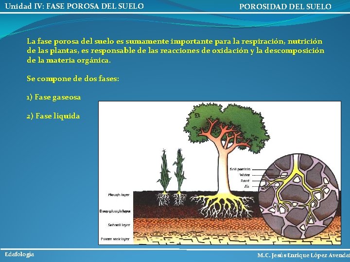 Unidad IV: FASE POROSA DEL SUELO POROSIDAD DEL SUELO La fase porosa del suelo