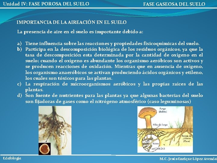 Unidad IV: FASE POROSA DEL SUELO FASE GASEOSA DEL SUELO IMPORTANCIA DE LA AIREACIÓN