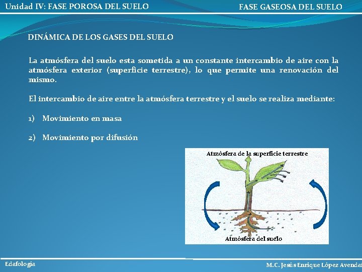 Unidad IV: FASE POROSA DEL SUELO FASE GASEOSA DEL SUELO DINÁMICA DE LOS GASES