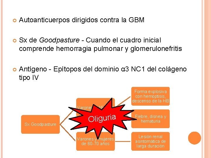  Autoanticuerpos dirigidos contra la GBM Sx de Goodpasture - Cuando el cuadro inicial