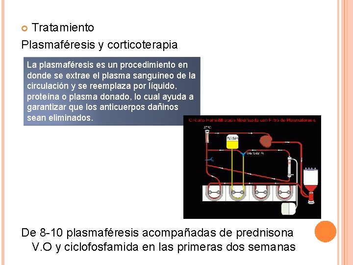 Tratamiento Plasmaféresis y corticoterapia La plasmaféresis es un procedimiento en donde se extrae el