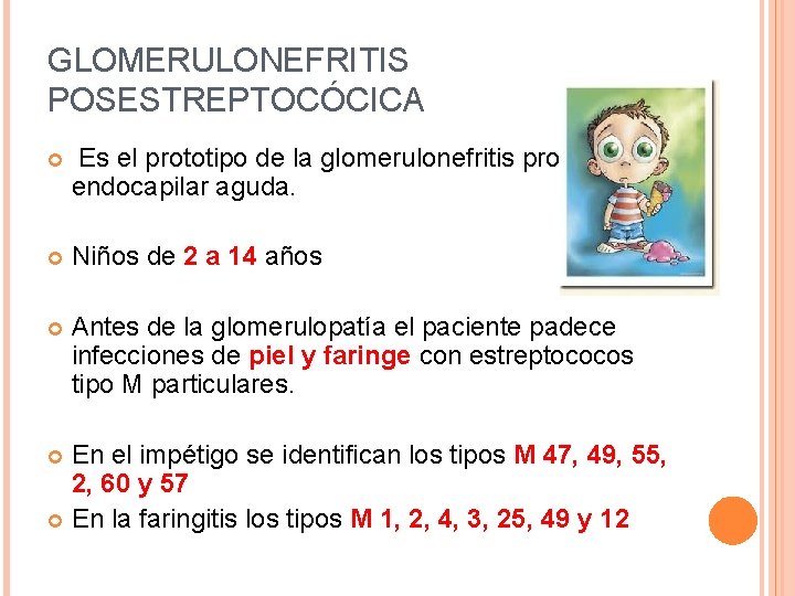 GLOMERULONEFRITIS POSESTREPTOCÓCICA Es el prototipo de la glomerulonefritis proliferativa endocapilar aguda. Niños de 2