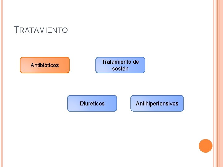 TRATAMIENTO Antibióticos Tratamiento de sostén Diuréticos Antihipertensivos 