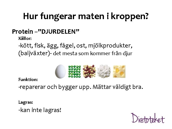 Hur fungerar maten i kroppen? Protein –”DJURDELEN” Källor: -kött, fisk, ägg, fågel, ost, mjölkprodukter,