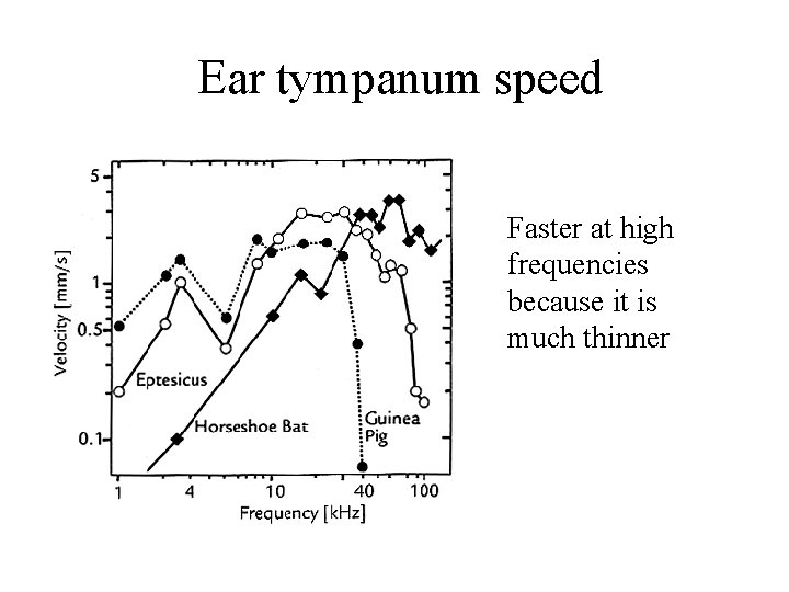 Ear tympanum speed Faster at high frequencies because it is much thinner 