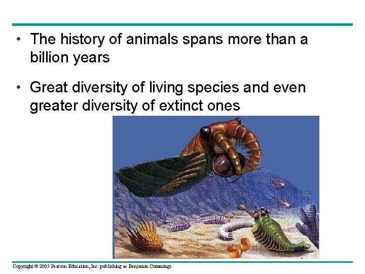  • The history of animals spans more than a billion years • Great