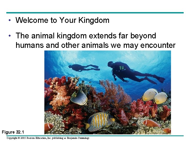  • Welcome to Your Kingdom • The animal kingdom extends far beyond humans