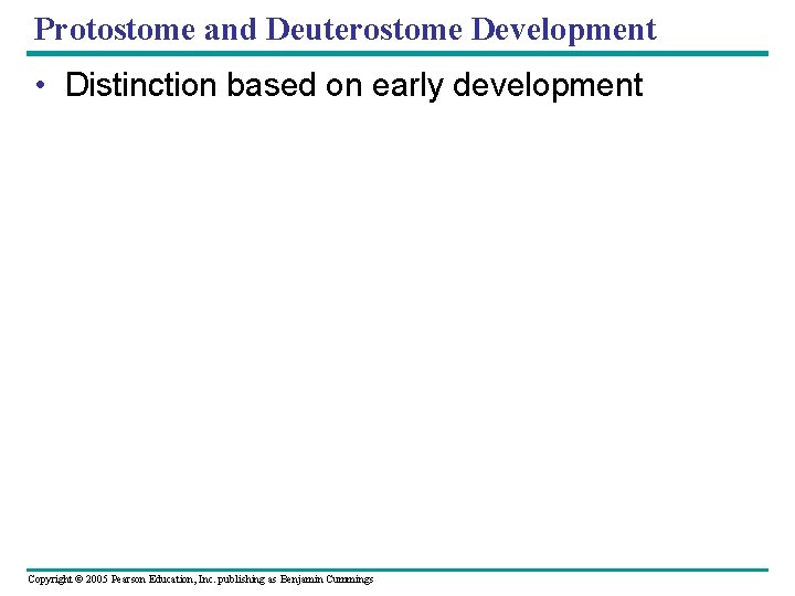 Protostome and Deuterostome Development • Distinction based on early development Copyright © 2005 Pearson
