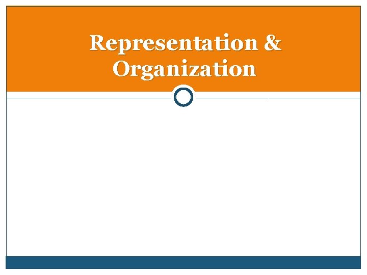 Representation & Organization 