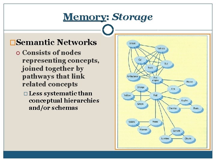 Memory: Storage �Semantic Networks Consists of nodes representing concepts, joined together by pathways that