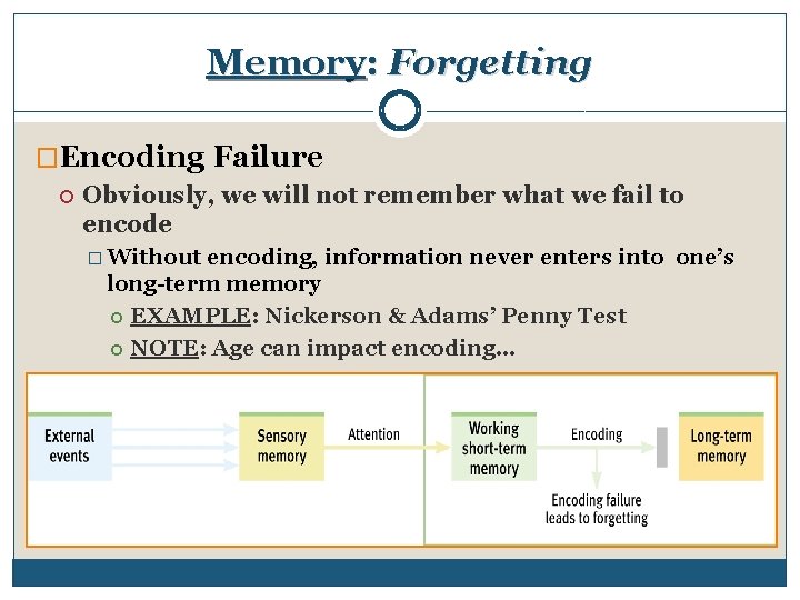 Memory: Forgetting �Encoding Failure Obviously, we will not remember what we fail to encode