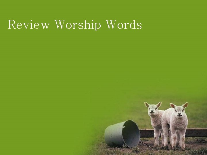 Review Worship Words 