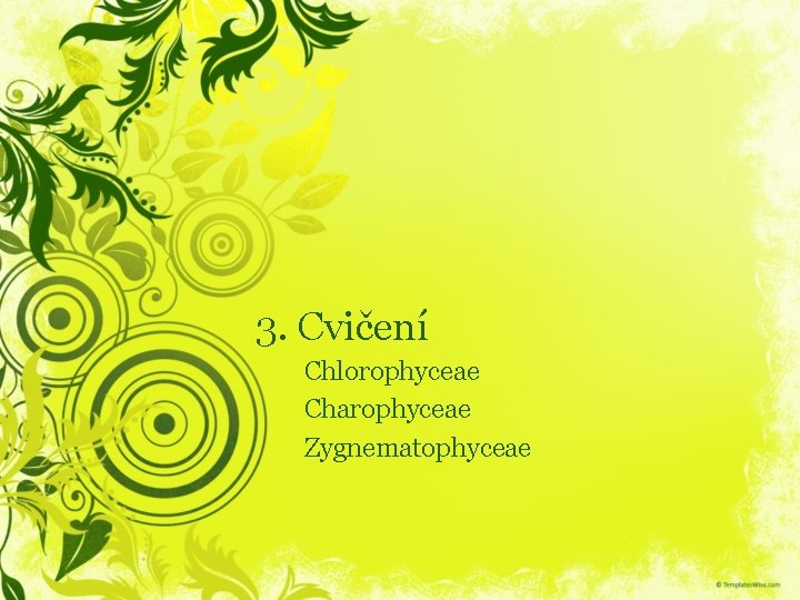 3. Cvičení Chlorophyceae Charophyceae Zygnematophyceae 