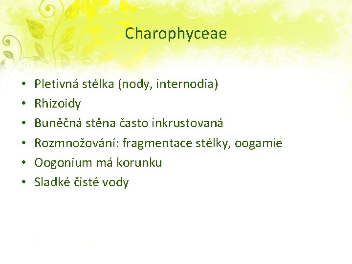 Charophyceae • • • Pletivná stélka (nody, internodia) Rhizoidy Buněčná stěna často inkrustovaná Rozmnožování: