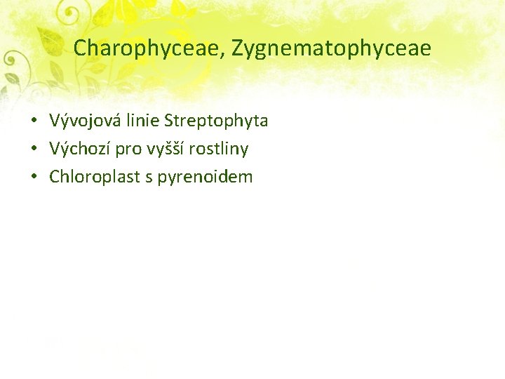 Charophyceae, Zygnematophyceae • Vývojová linie Streptophyta • Výchozí pro vyšší rostliny • Chloroplast s