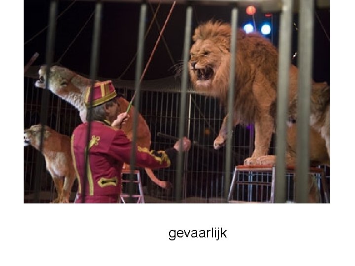 gevaarlijk 