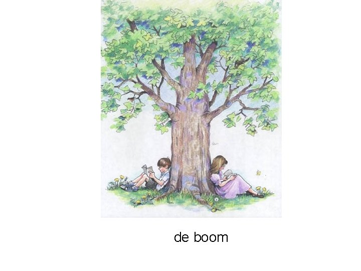 de boom 