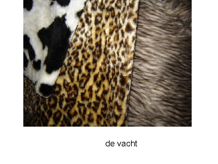 de vacht 