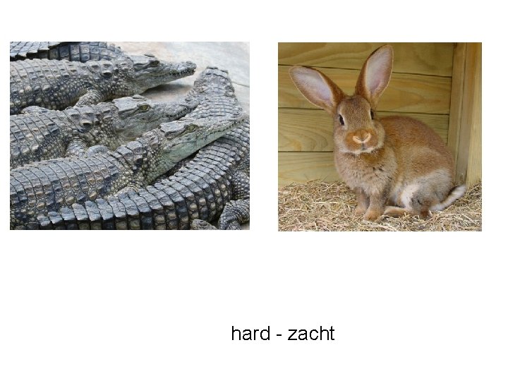 hard - zacht 