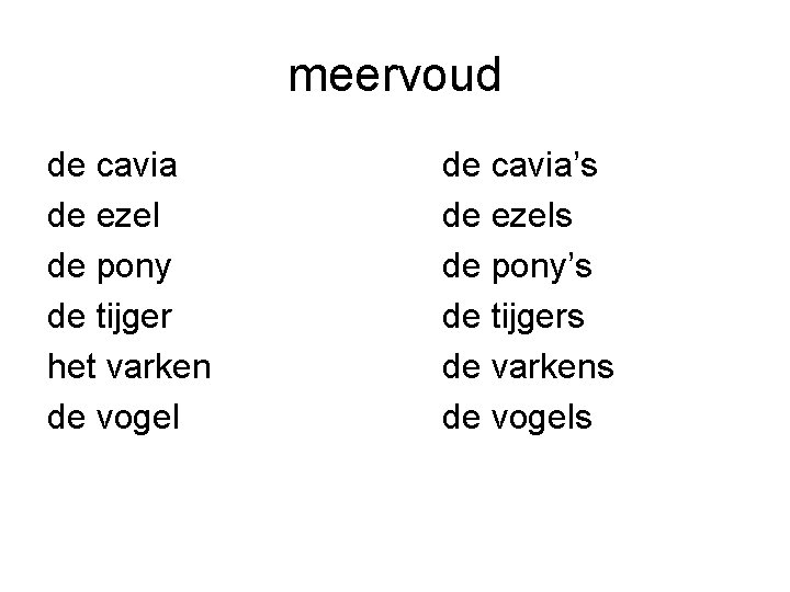 meervoud de cavia de ezel de pony de tijger het varken de vogel de