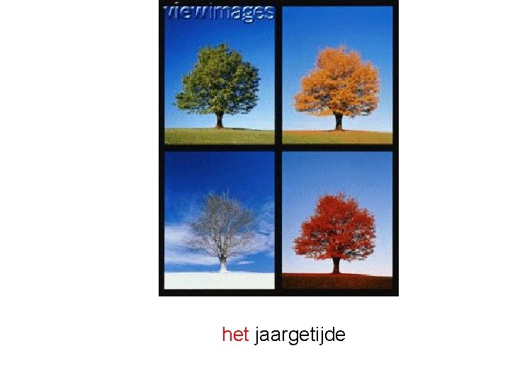 het jaargetijde 