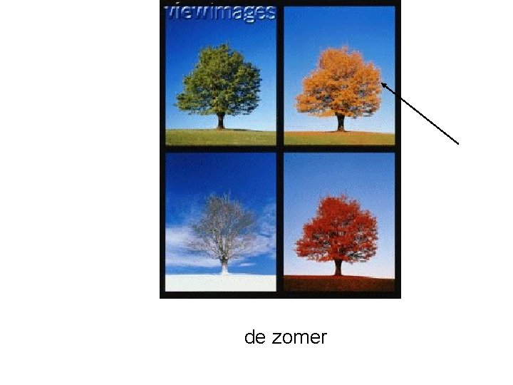 de zomer 