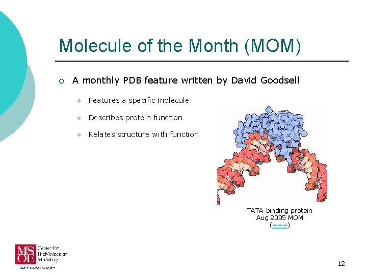 Molecule of the Month (MOM) ¡ A monthly PDB feature written by David Goodsell