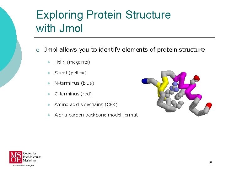 Exploring Protein Structure with Jmol ¡ Jmol allows you to identify elements of protein