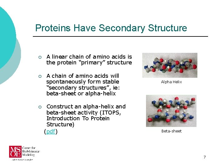 Proteins Have Secondary Structure ¡ A linear chain of amino acids is the protein