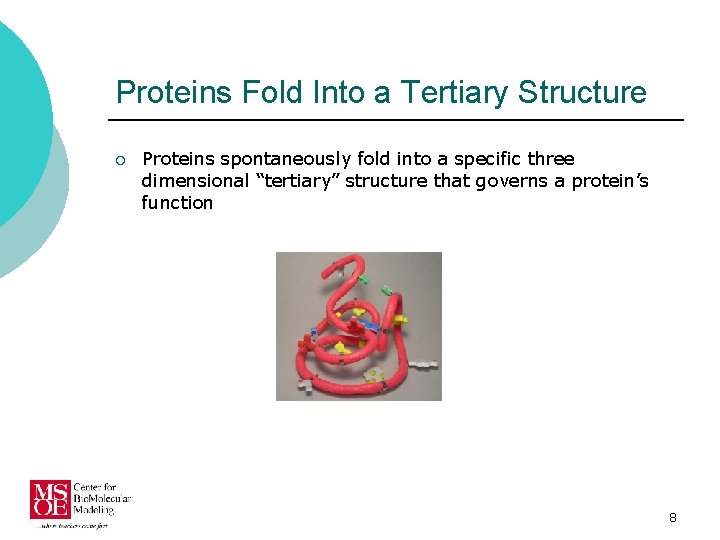 Proteins Fold Into a Tertiary Structure ¡ Proteins spontaneously fold into a specific three