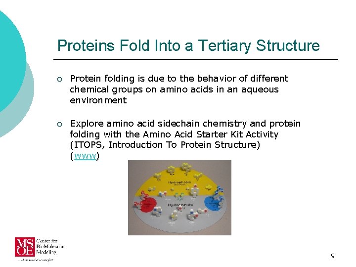 Proteins Fold Into a Tertiary Structure ¡ Protein folding is due to the behavior