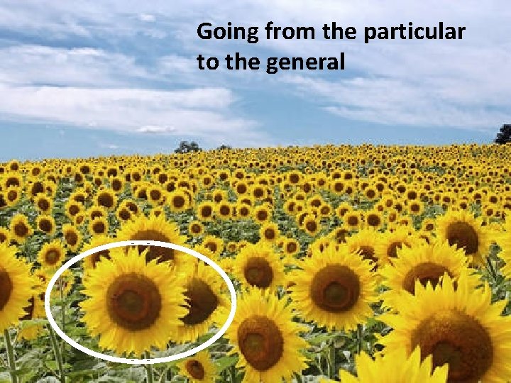 Going from the particular to the general 