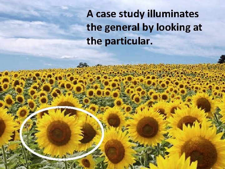 A case study illuminates the general by looking at the particular. 