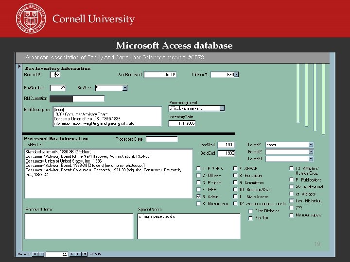 Microsoft Access database 19 