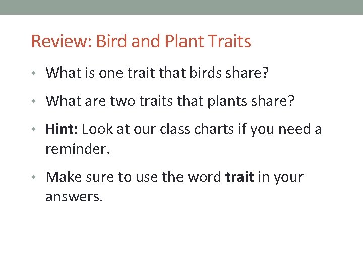 Review: Bird and Plant Traits • What is one trait that birds share? • Review: Bird and Plant Traits • What is one trait that birds share? •