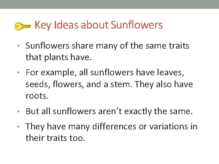 Key Ideas about Sunflowers • Sunflowers share many of the same traits that plants Key Ideas about Sunflowers • Sunflowers share many of the same traits that plants