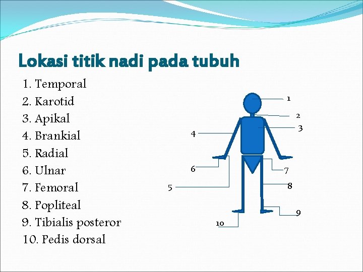 Lokasi titik nadi pada tubuh 1. Temporal 2. Karotid 3. Apikal 4. Brankial 5.