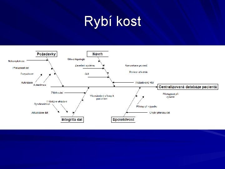 Rybí kost 